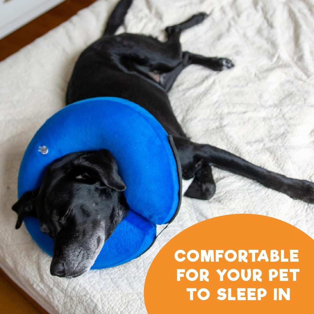 Dog sleeping comfortably in the inflatable collar