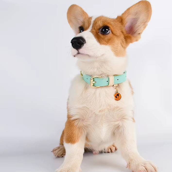 Genuine Leather Dog Collar