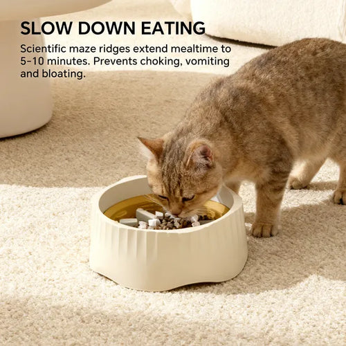 Cat eating from slow feeder bowl