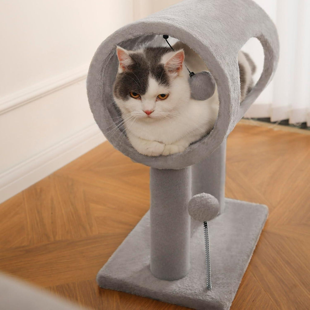 Cat resting in the tunnel