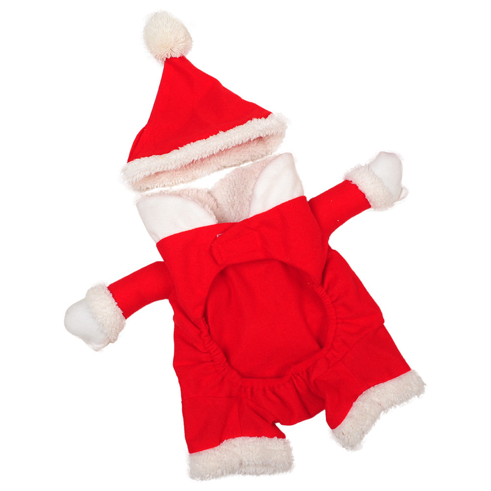 Santa Claus Suit for Cats & Small Dogs