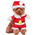 Santa Claus Suit for Cats & Small Dogs