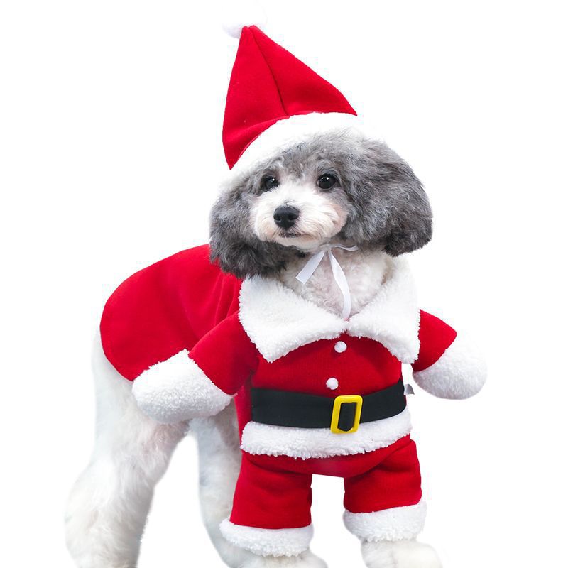 Standing Santa Claus Costume for Dogs