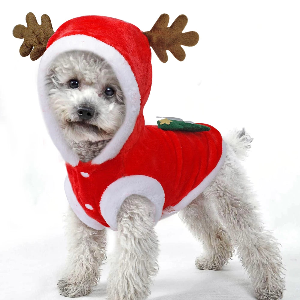 Santa Claus Hooded Coat for Small Dogs