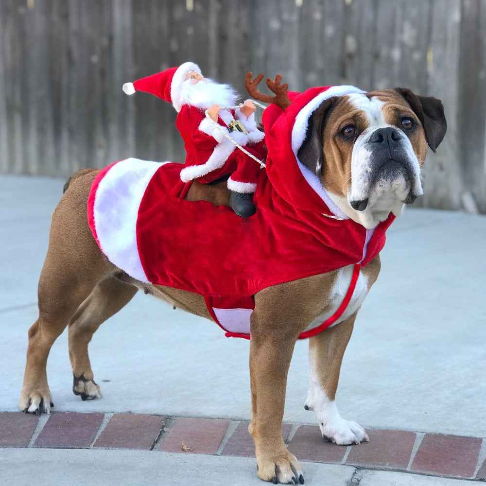 Santa Rider Christmas Costume for Medium & Large Dogs