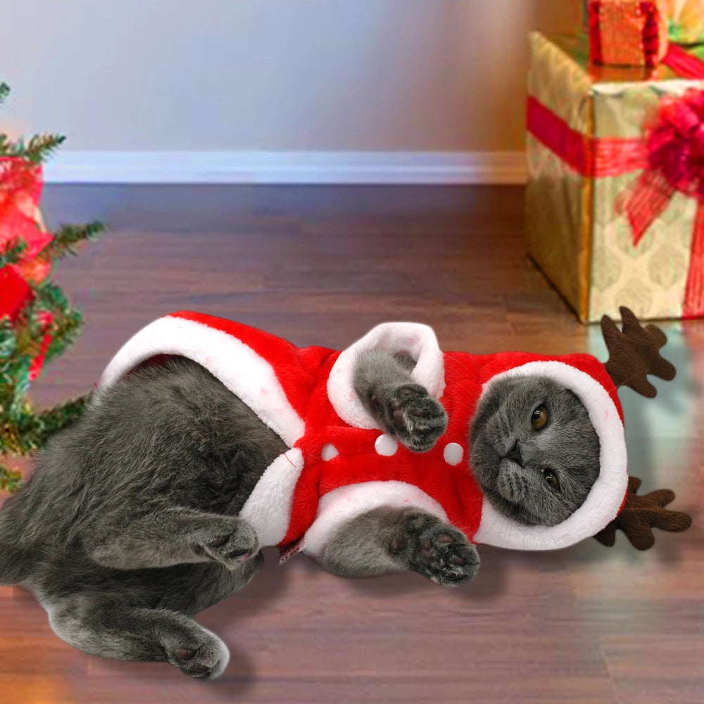 Santa Claus Hooded Coat for Small Dogs