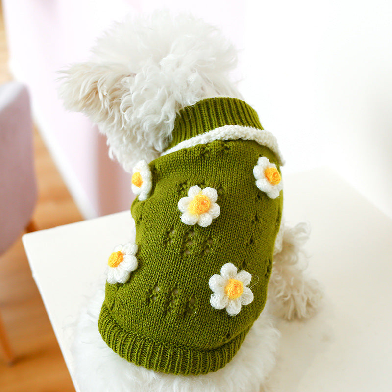 Dog wearing the green flower sweater