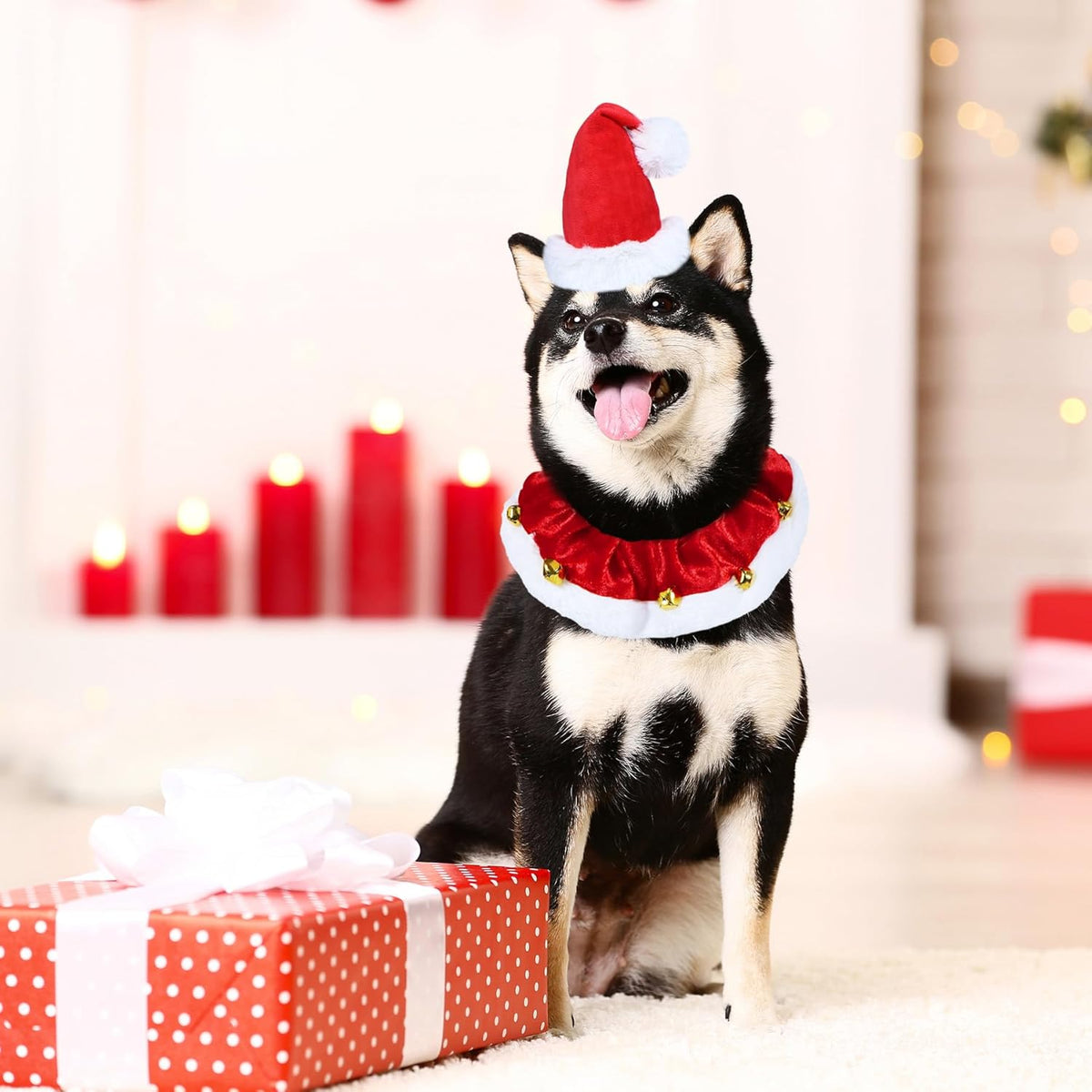 Christmas Collar with Bells for Dogs & Cats
