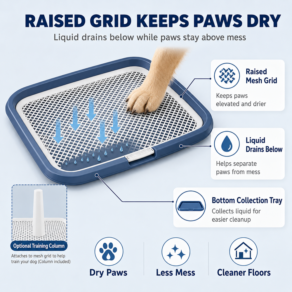 Raised grid keeps paws dry