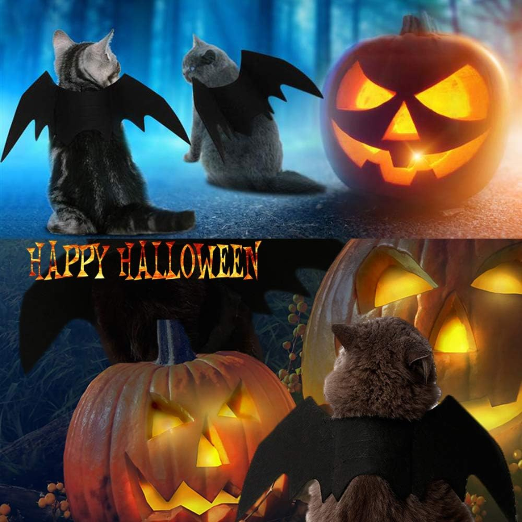 Halloween Bat Wings Costume for Cats & Small Dogs