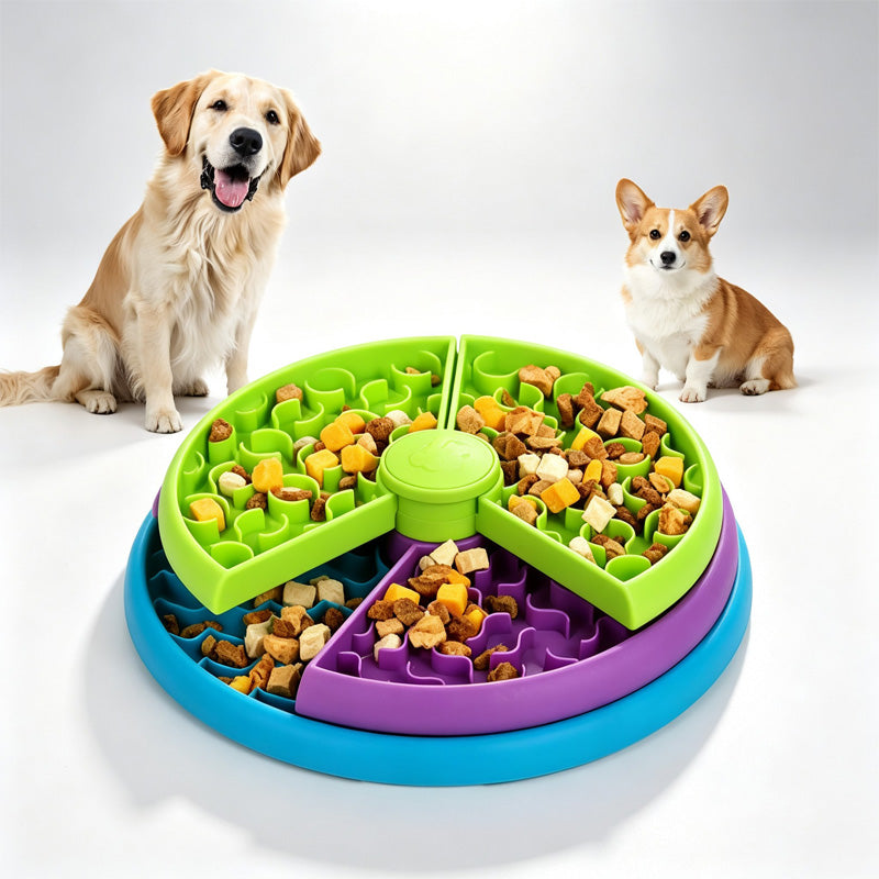 Dogs with the rotating puzzle feeder