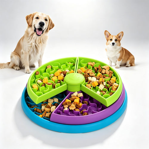 Dogs with the rotating puzzle feeder