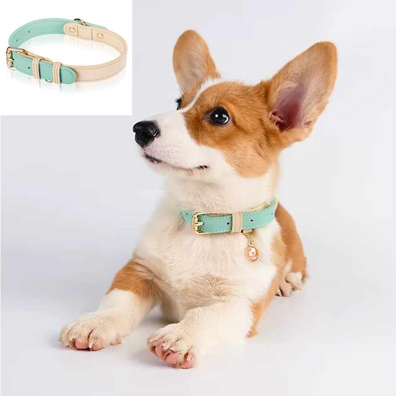 Genuine Leather Dog Collar