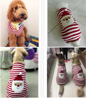 Christmas Knit Sweater for Small, Medium & Large Dogs
