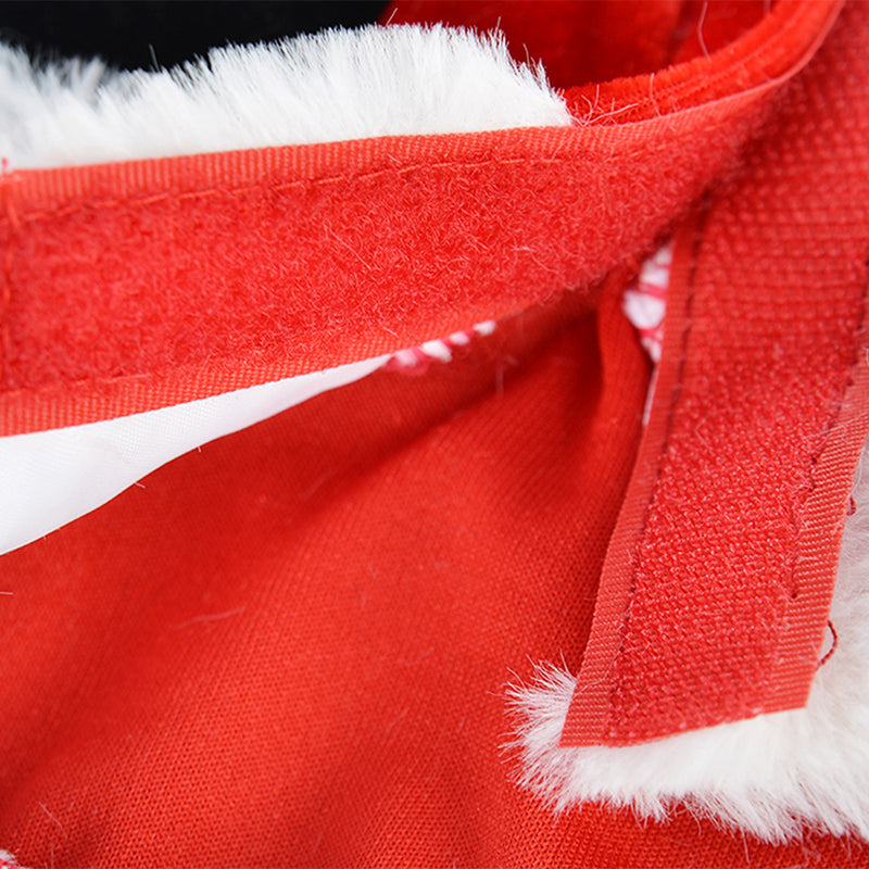 Santa Coat Christmas Costume for Dogs
