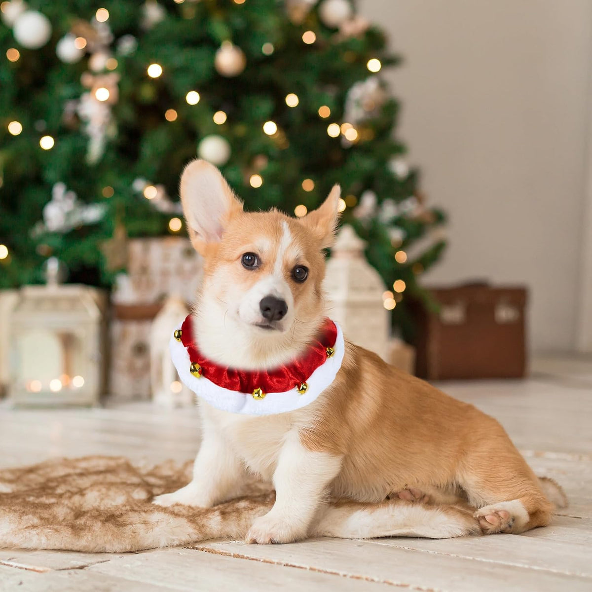 Christmas Collar with Bells for Dogs & Cats