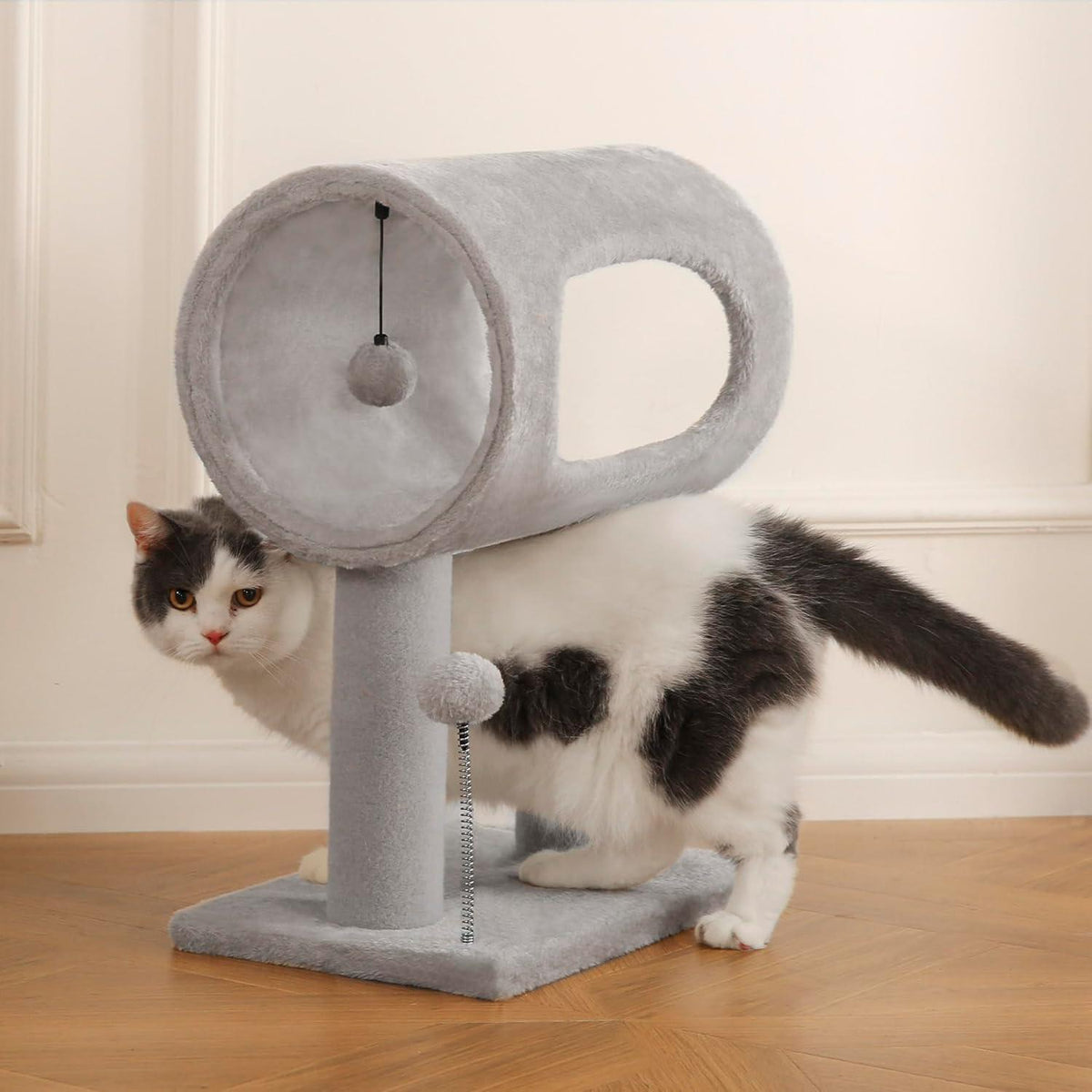 Cat playing with the hanging ball