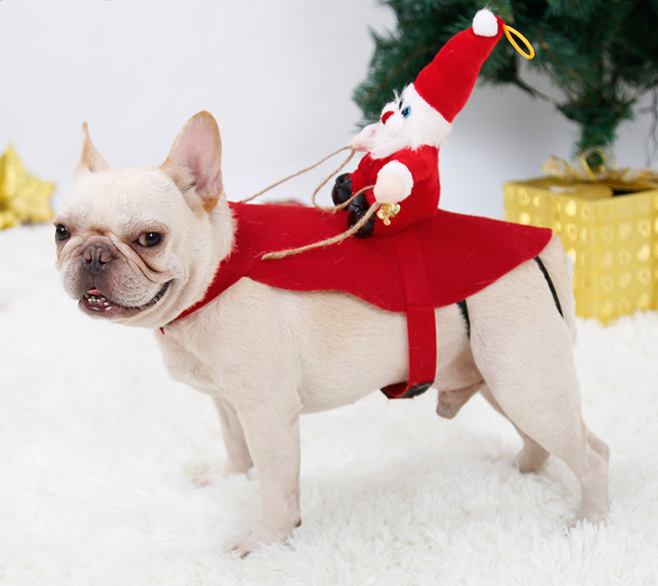Santa Rider Christmas Costume for Medium & Large Dogs