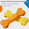 Dog Toothbrush Chew Bones – 2 Pack