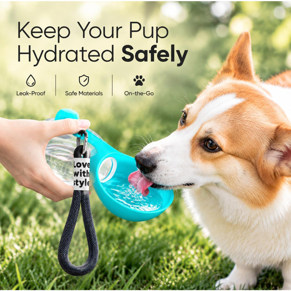 Keep your pup hydrated on walks