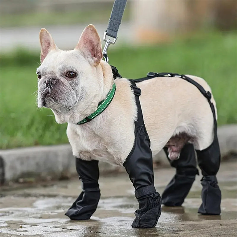 Waterproof Dog Boots with Leg Straps – Set of 4