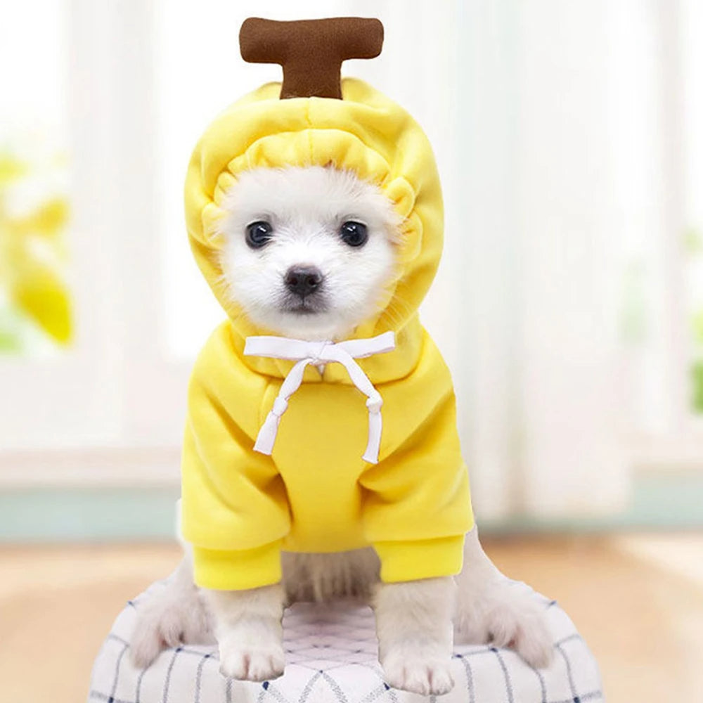 Banana style fleece dog hoodie