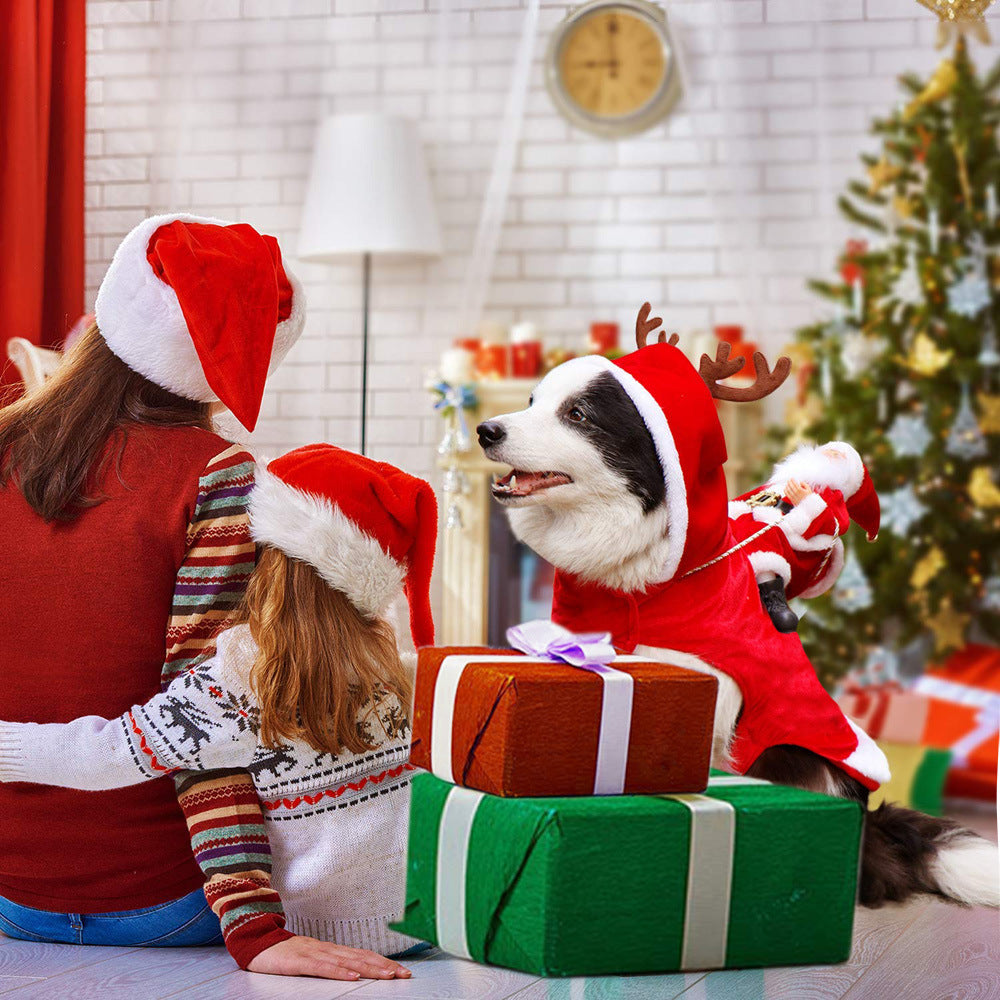 Santa Rider Christmas Costume for Medium & Large Dogs