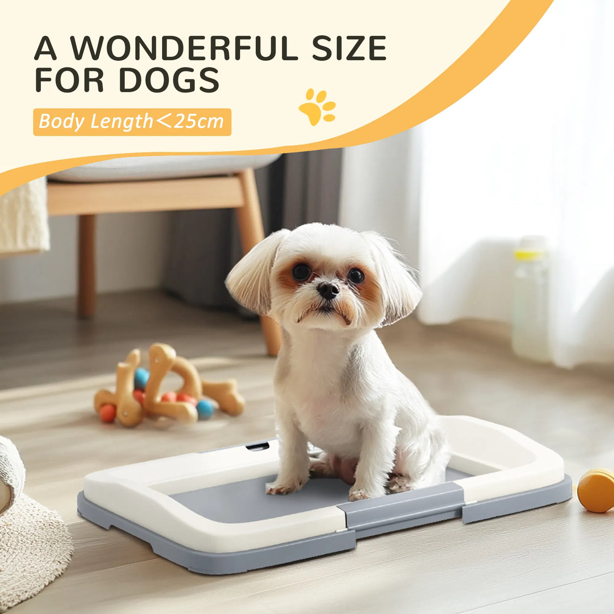 Puppy on the pee pad holder