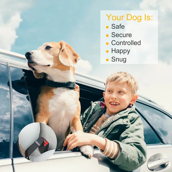 Pet Car Seat Belt – 2 Pack