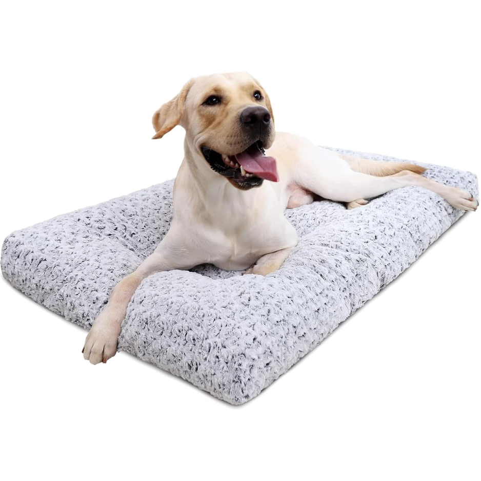 Dog on the gray plush crate bed
