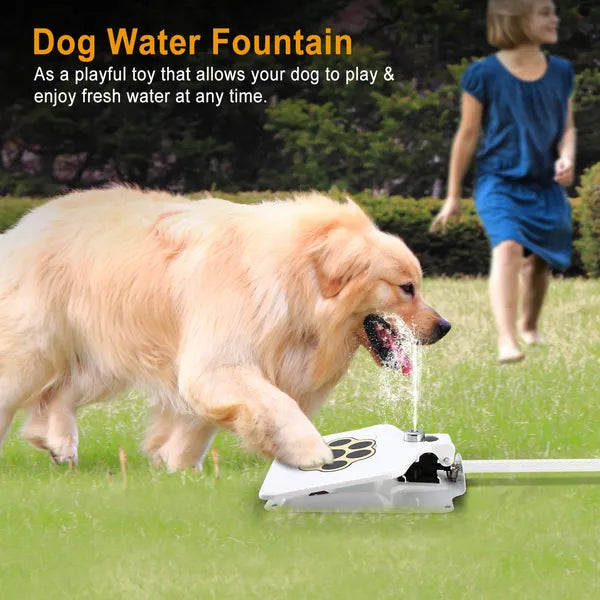 Dog water fountain outdoors