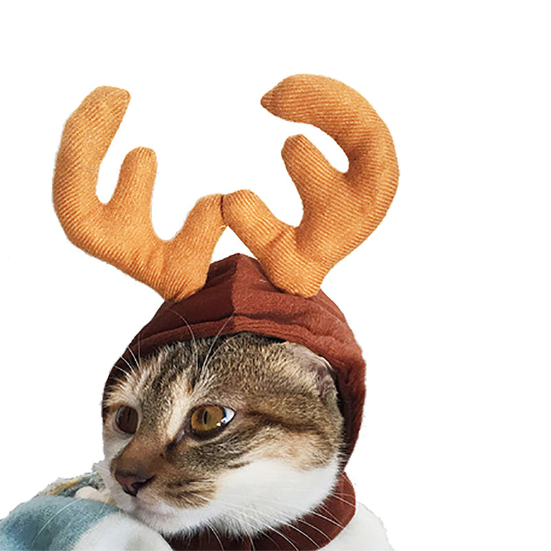 Christmas Capes, Cloaks & Hats for Dogs & Cats