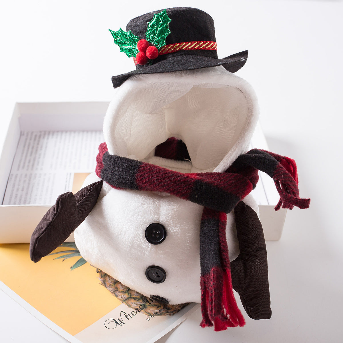 Standing Snowman Costume for Dogs