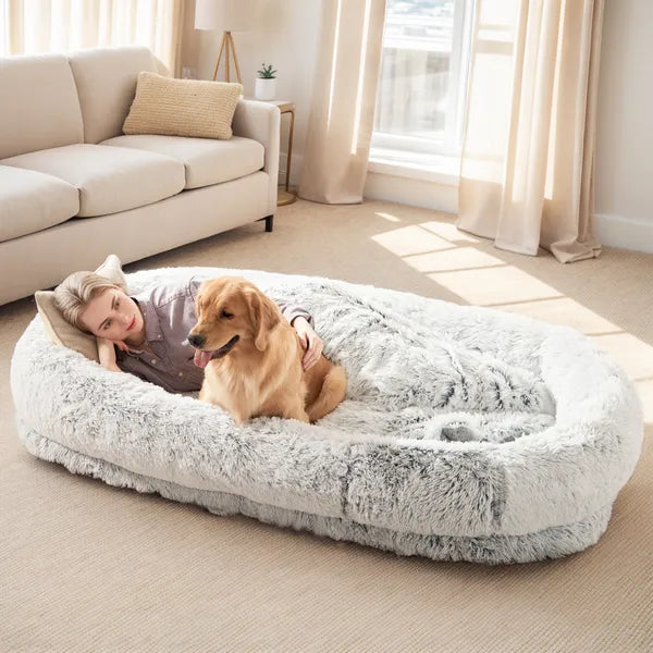 Relaxing on the human dog bed