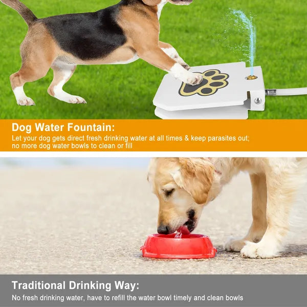 Fresh water vs a regular bowl