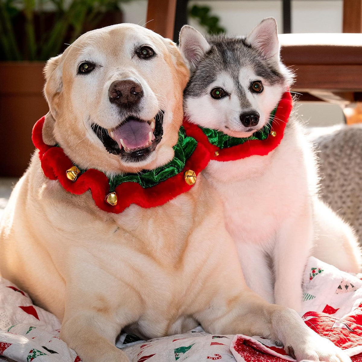 Christmas Collar with Bells for Dogs & Cats