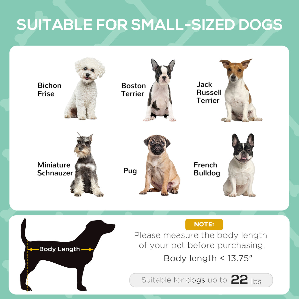 Elevated Dog Bed with Removable Canopy