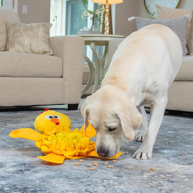 Dog sniffing the snuffle toy