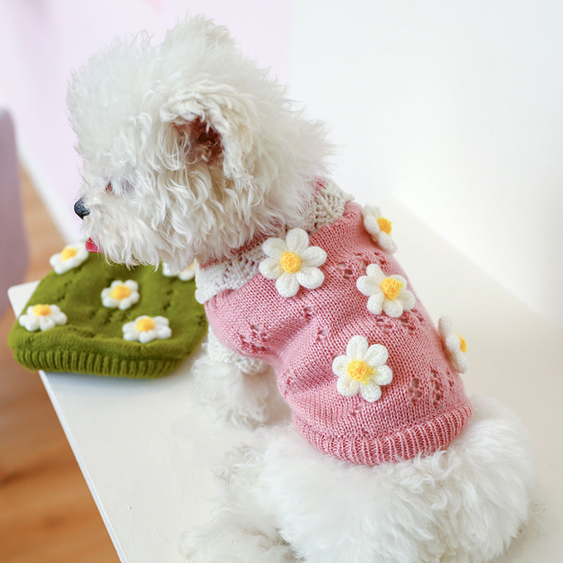 Dog wearing the pink flower sweater next to the green one