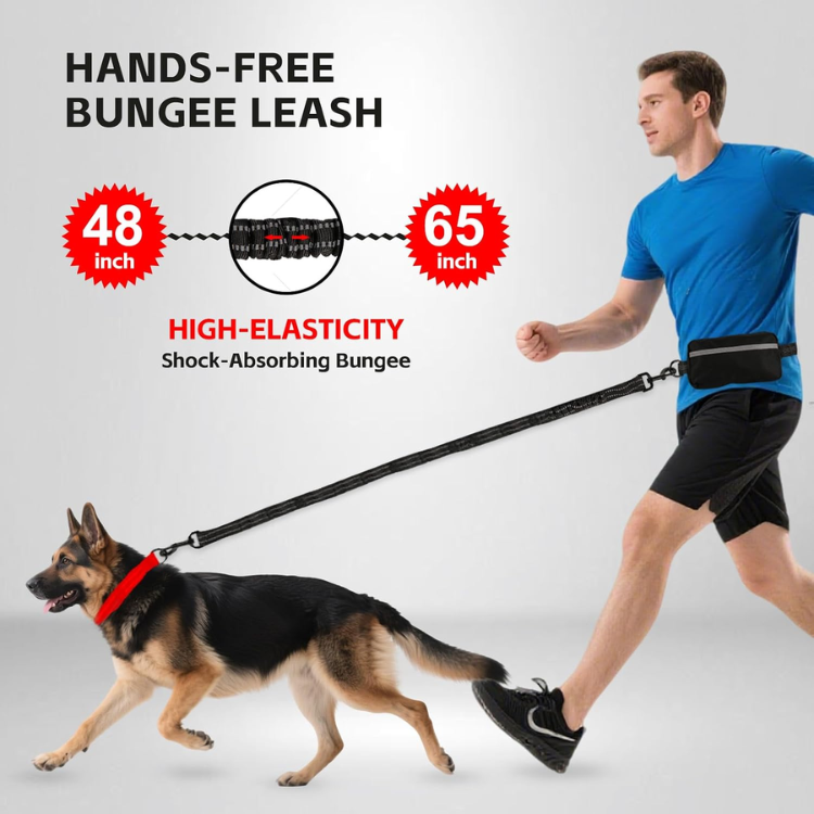 Bungee leash for running