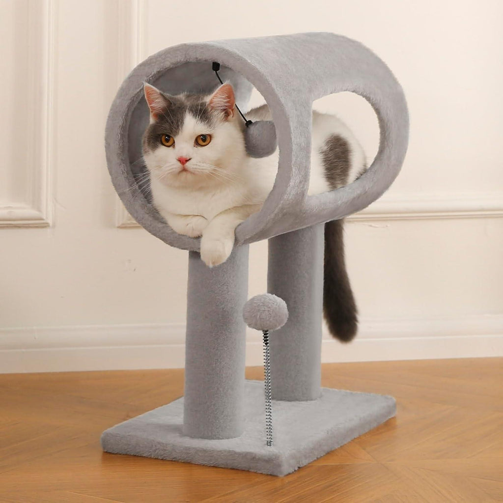 Cat tree in a room