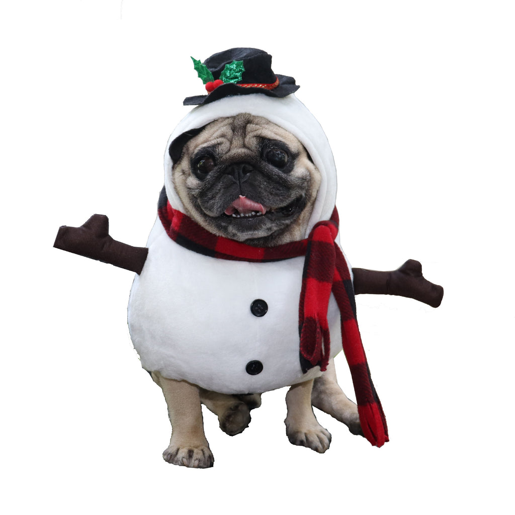 Standing Snowman Costume for Dogs