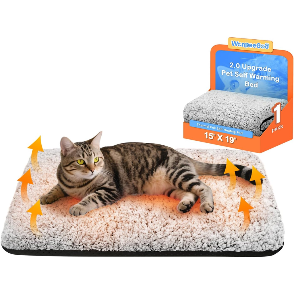 Cat on the self-warming mat