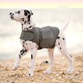 Warm Calming Dog Vest