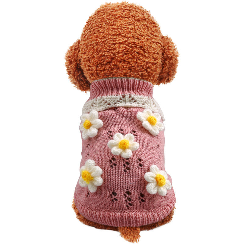 Small dog in the pink flower sweater