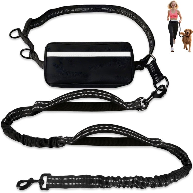 Hands-free bungee leash with zipper pouch