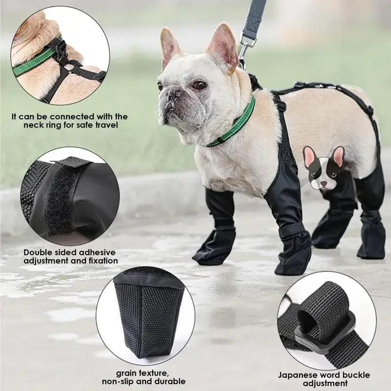 Winter Walk Kit – Sweater 2-Pack, Boots & Leash