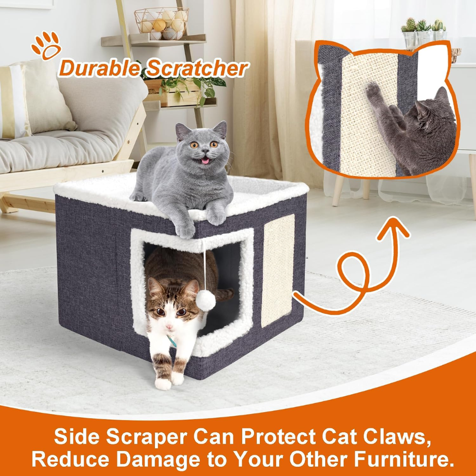 Cats using the cat house