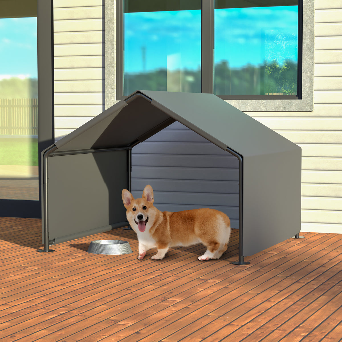 Small dog in the shelter