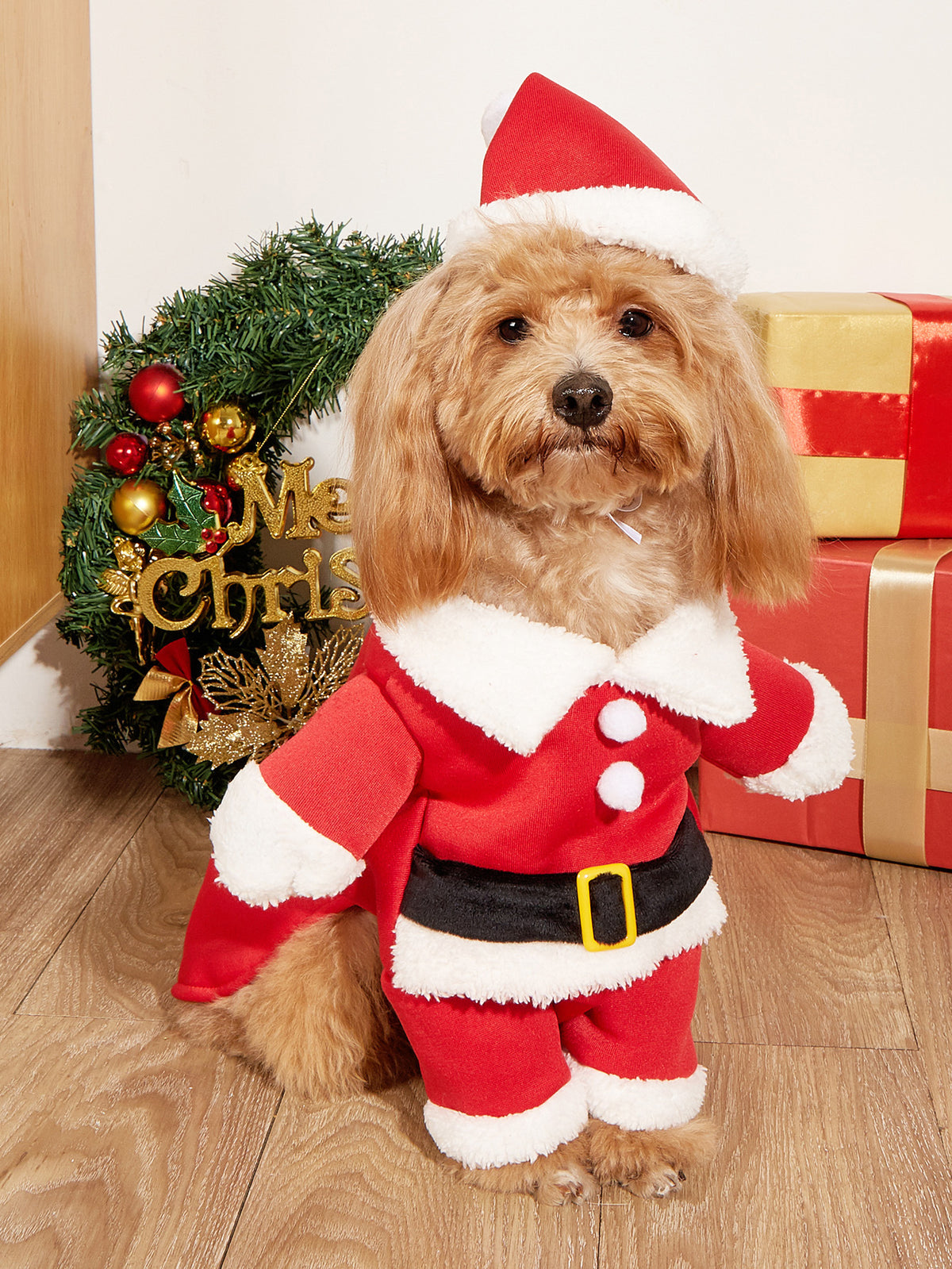 Santa Suit with Hat for Small Dogs